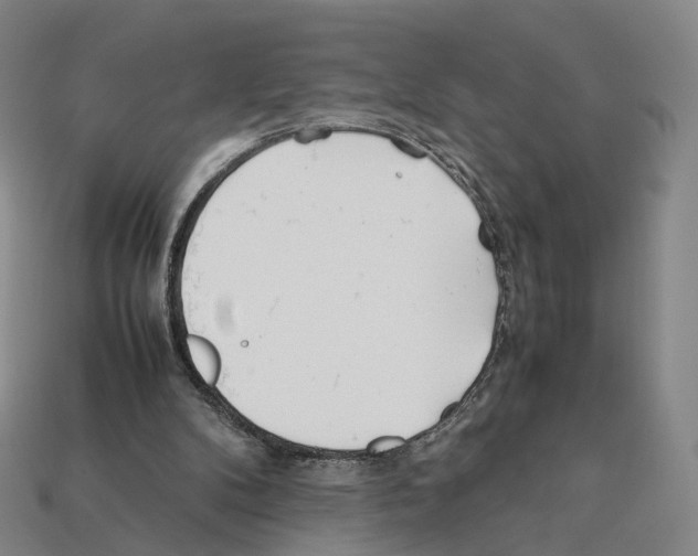 X0000112410104200909251504