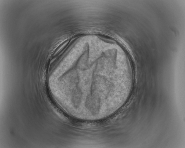 X0000112410105200909251504