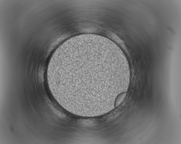 X0000112410106200909251504