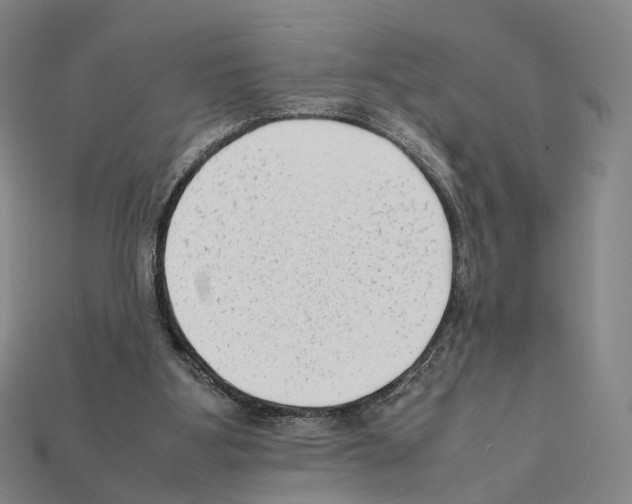 X0000112410107200909251504