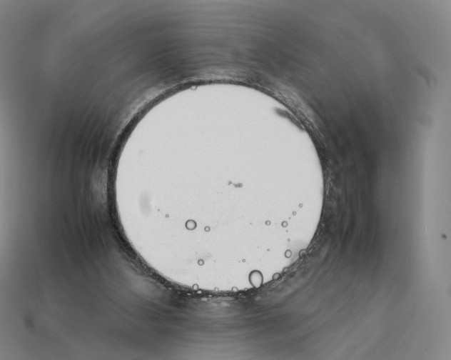X0000112410108200909251504