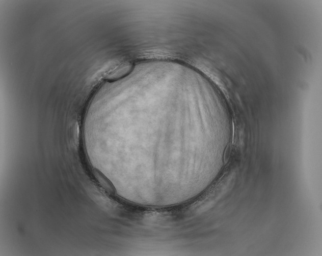 X0000112410109200909251504