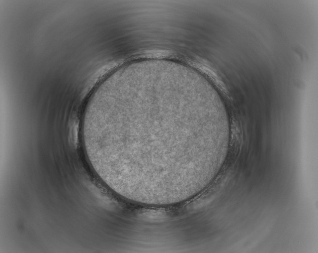 X0000112410110200909251504