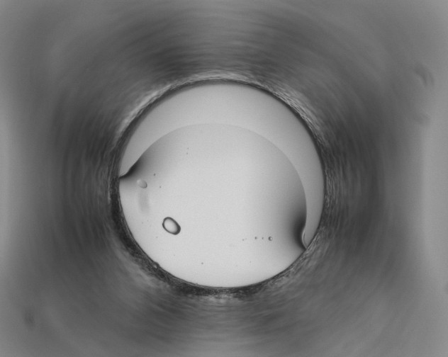 X0000112410112200909251504