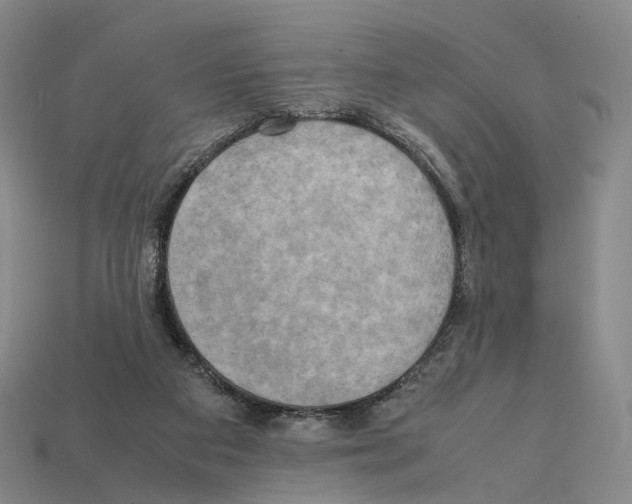 X0000112410113200909251504