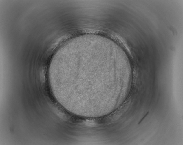 X0000112410114200909251504