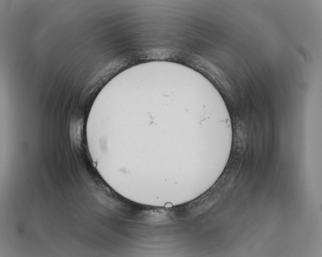 X0000112410118200909251504