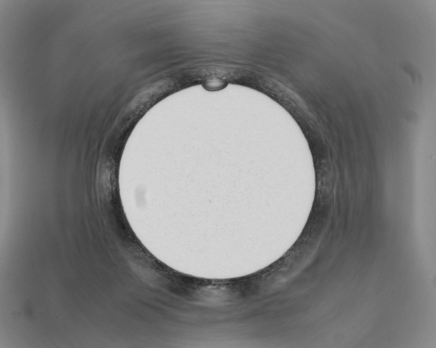 X0000112410119200909251504