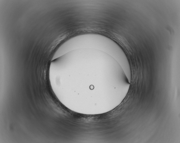 X0000112410120200909251504