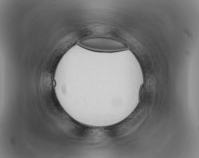 X0000112410121200909251504