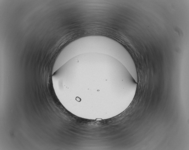 X0000112410124200909251504