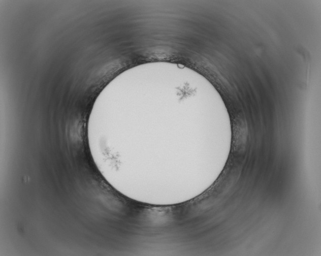 X0000112410126200909251504