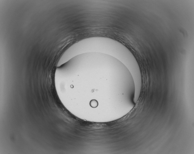 X0000112410128200909251503