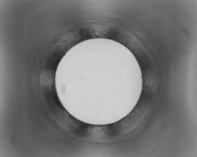 X0000112410129200909251503