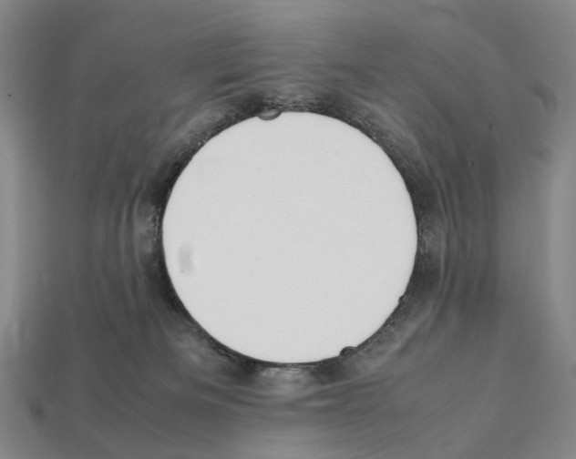 X0000112410133200909251503