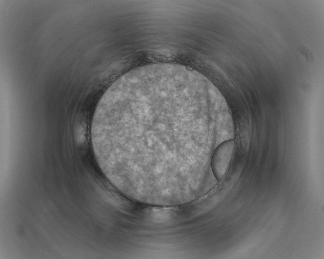 X0000112410134200909251503