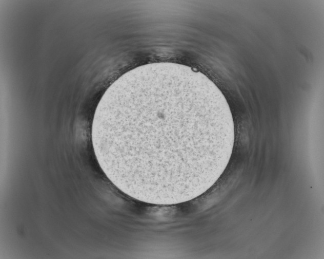 X0000112410135200909251503