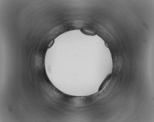 X0000112410136200909251503