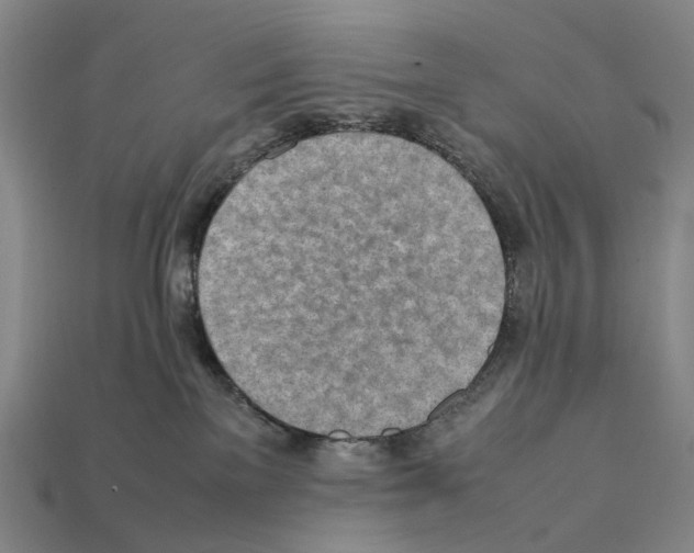 X0000112410137200909251503