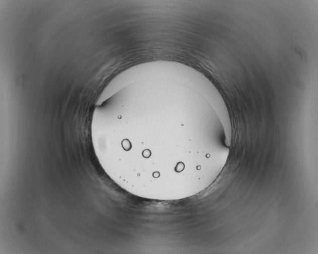 X0000112410140200909251503