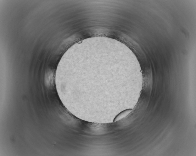X0000112410142200909251503