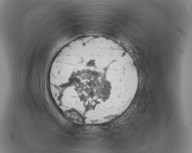 X0000112410145200909251502