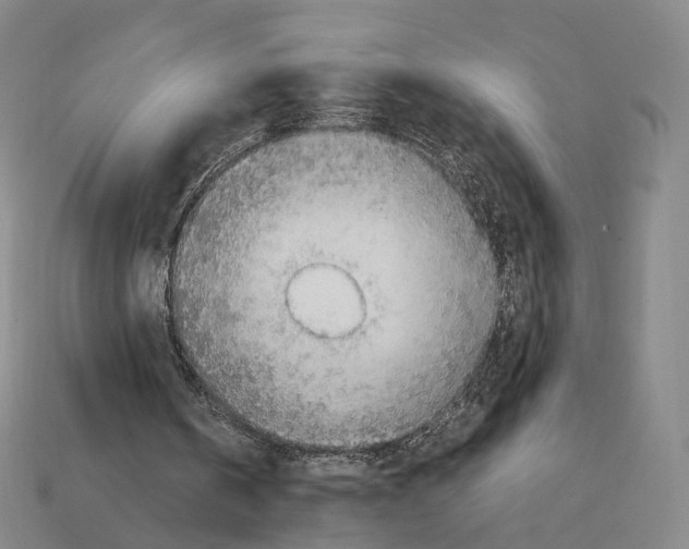 X0000112410146200909251503