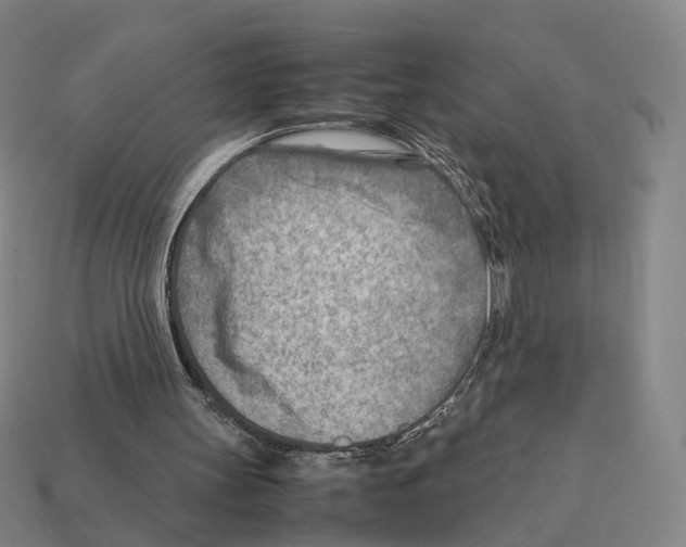 X0000112410147200909251503