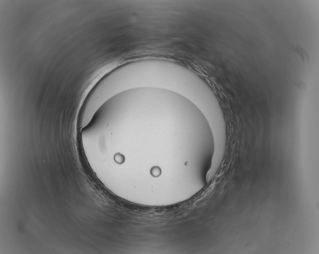 X0000112410148200909251503