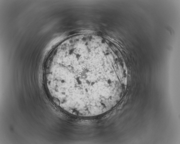 X0000112410149200909251503