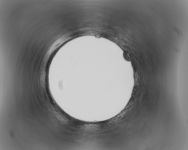 X0000112410150200909251503