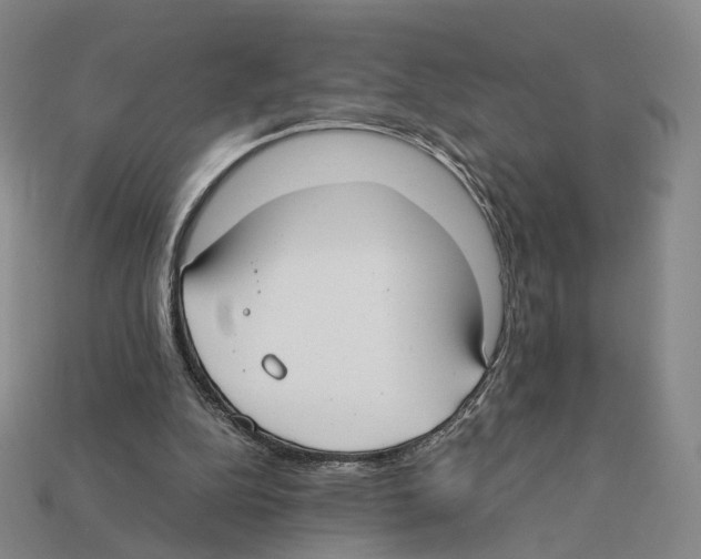 X0000112410152200909251503