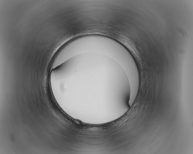 X0000112410156200909251503