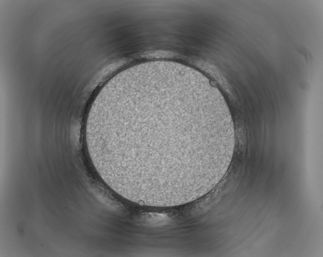 X0000112410159200909251503