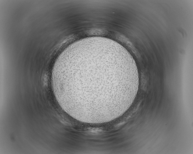 X0000112410161200909251503