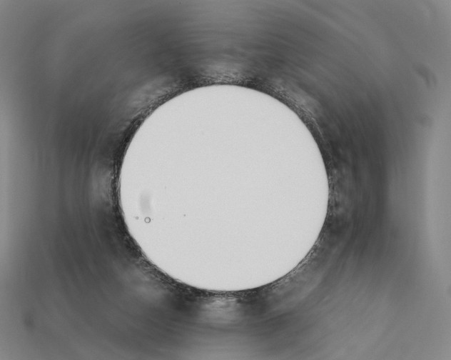 X0000112410162200909251503