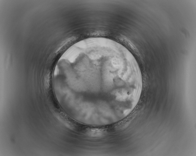X0000112410163200909251503