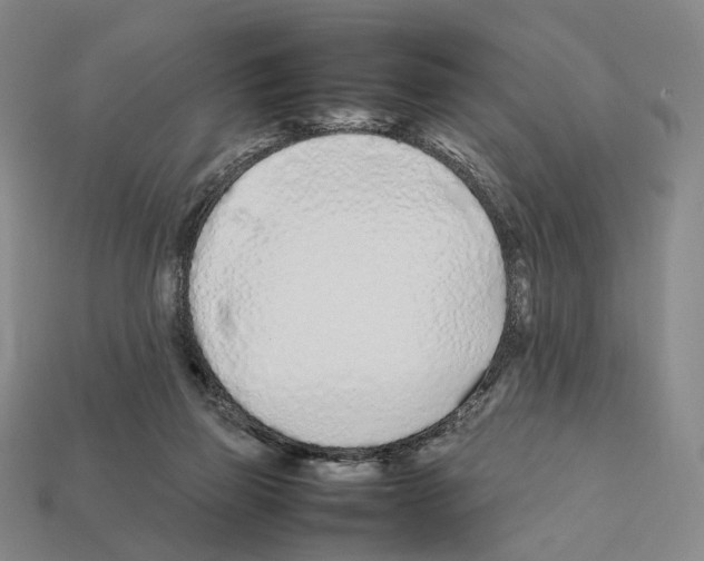 X0000112410165200909251503