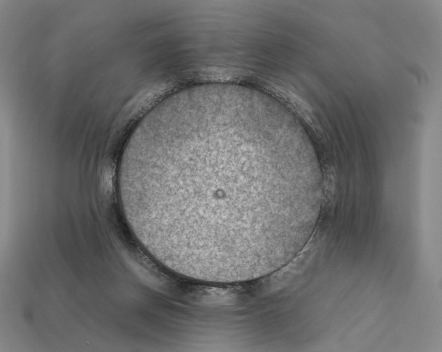 X0000112410166200909251503
