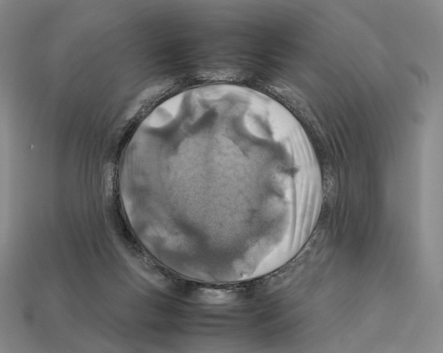 X0000112410167200909251503