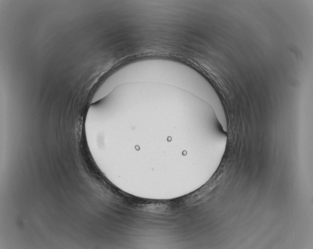 X0000112410168200909251503