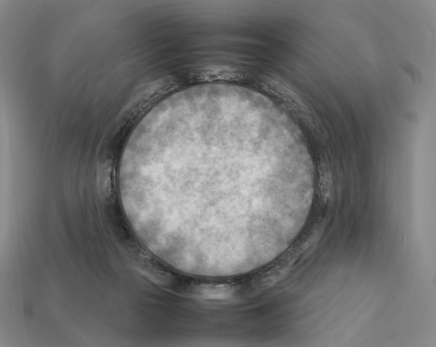 X0000112410169200909251503