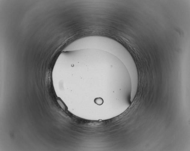 X0000112410172200909251503