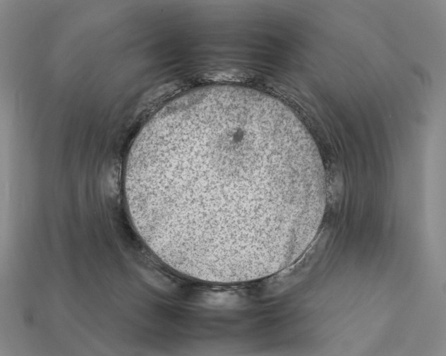 X0000112410175200909251503