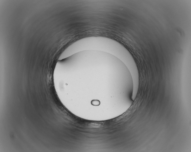 X0000112410176200909251503