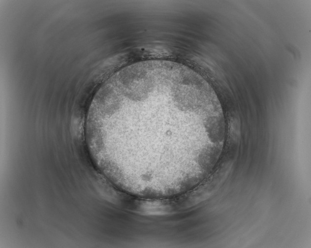 X0000112410177200909251503
