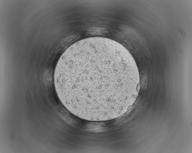X0000112410179200909251503