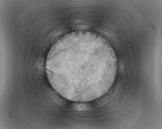 X0000112410181200909251503