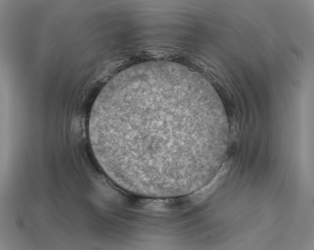 X0000112410182200909251503