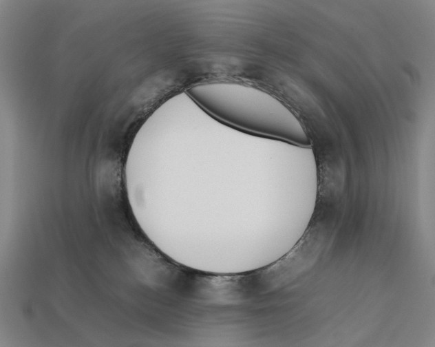 X0000112410184200909251503